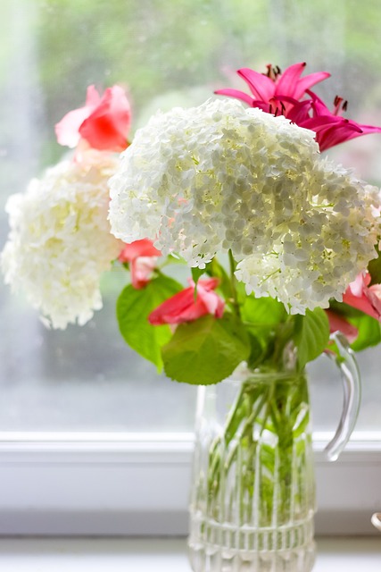 plastové okno a kvety